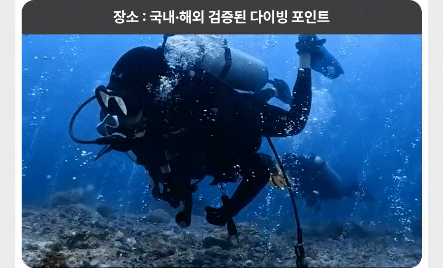 서울/경기 스쿠버다이빙 - 다이브루덴스 강사개발과정