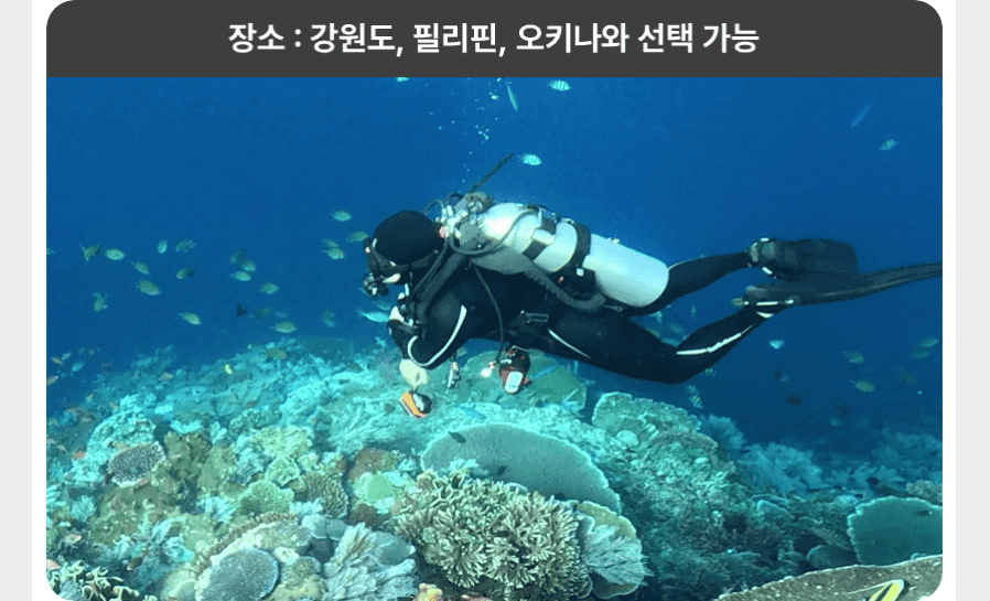 해양 실습 최종 점검 및 즐거운 펀다이빙 현장 영상