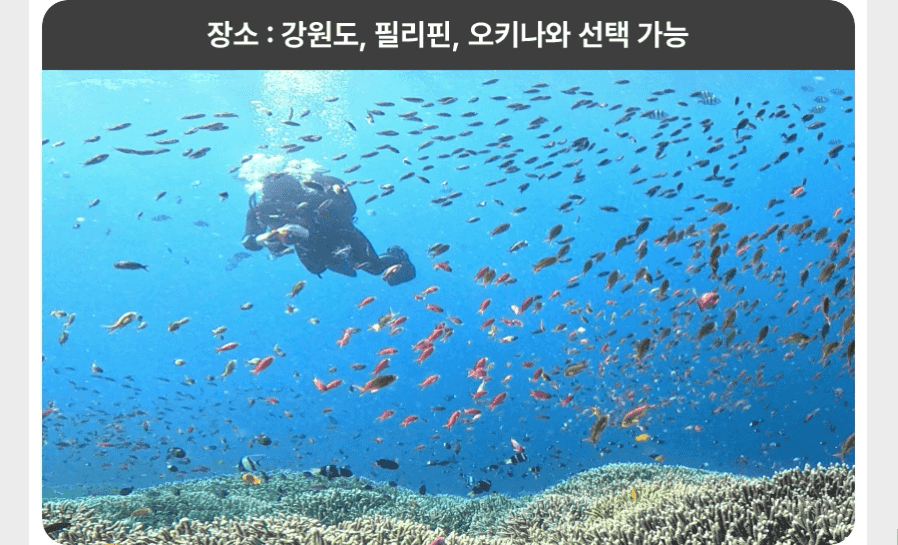 서울/경기 스쿠버다이빙 - 다이브루덴스 오픈워터 다이버 강습