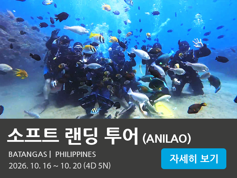 아닐라오.png
