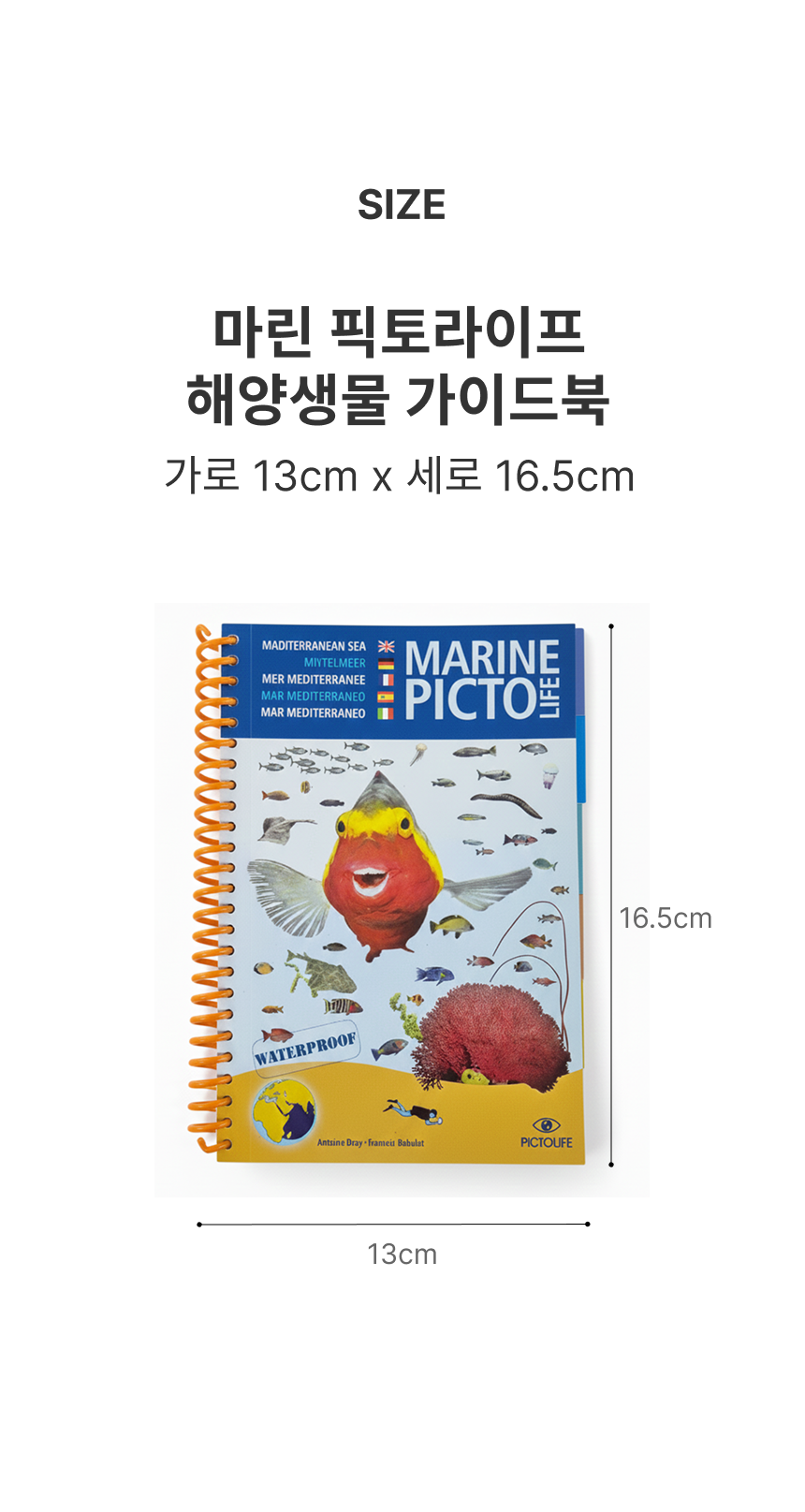 [한글]방수 어류도감 마린픽토라이프 - 아시아태평양