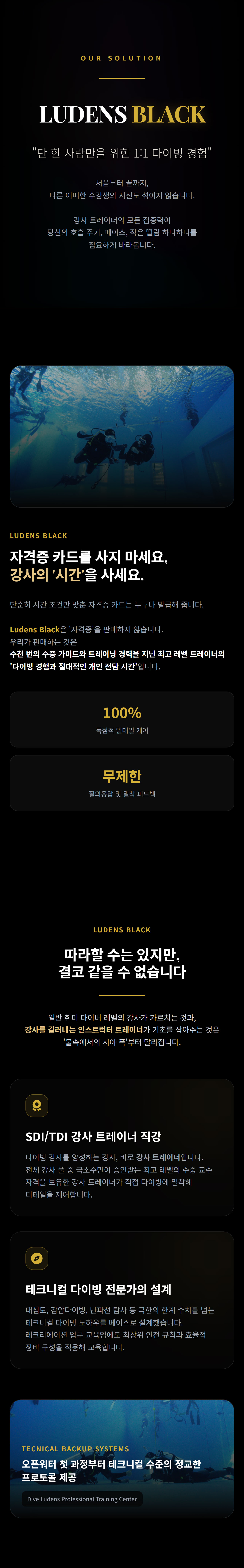 [1:1 프라이빗] Ludens Black 입문과정