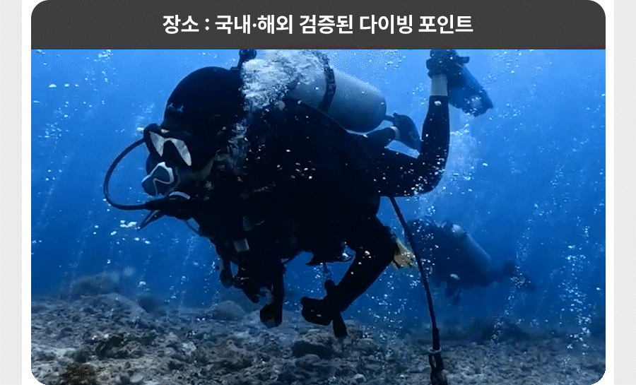 서울/경기 스쿠버다이빙 - 다이브루덴스 다이브마스터 강습