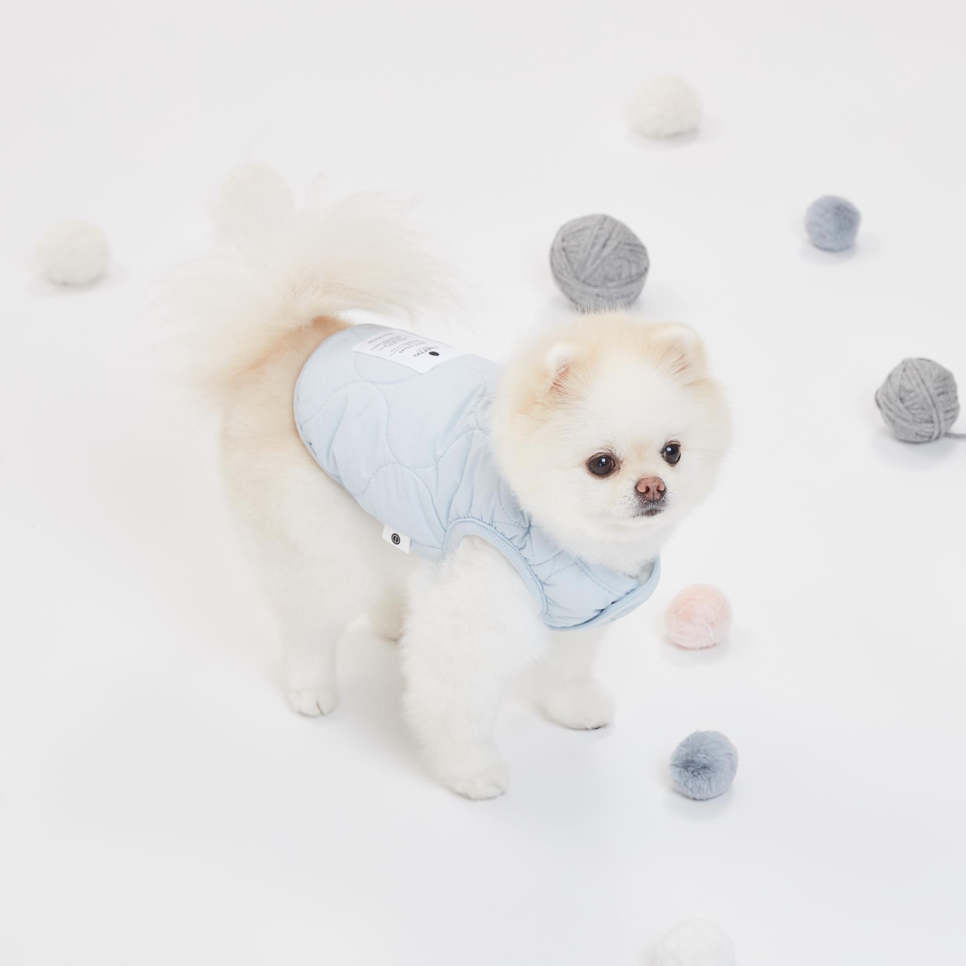 230915_eterno0991 1.jpg