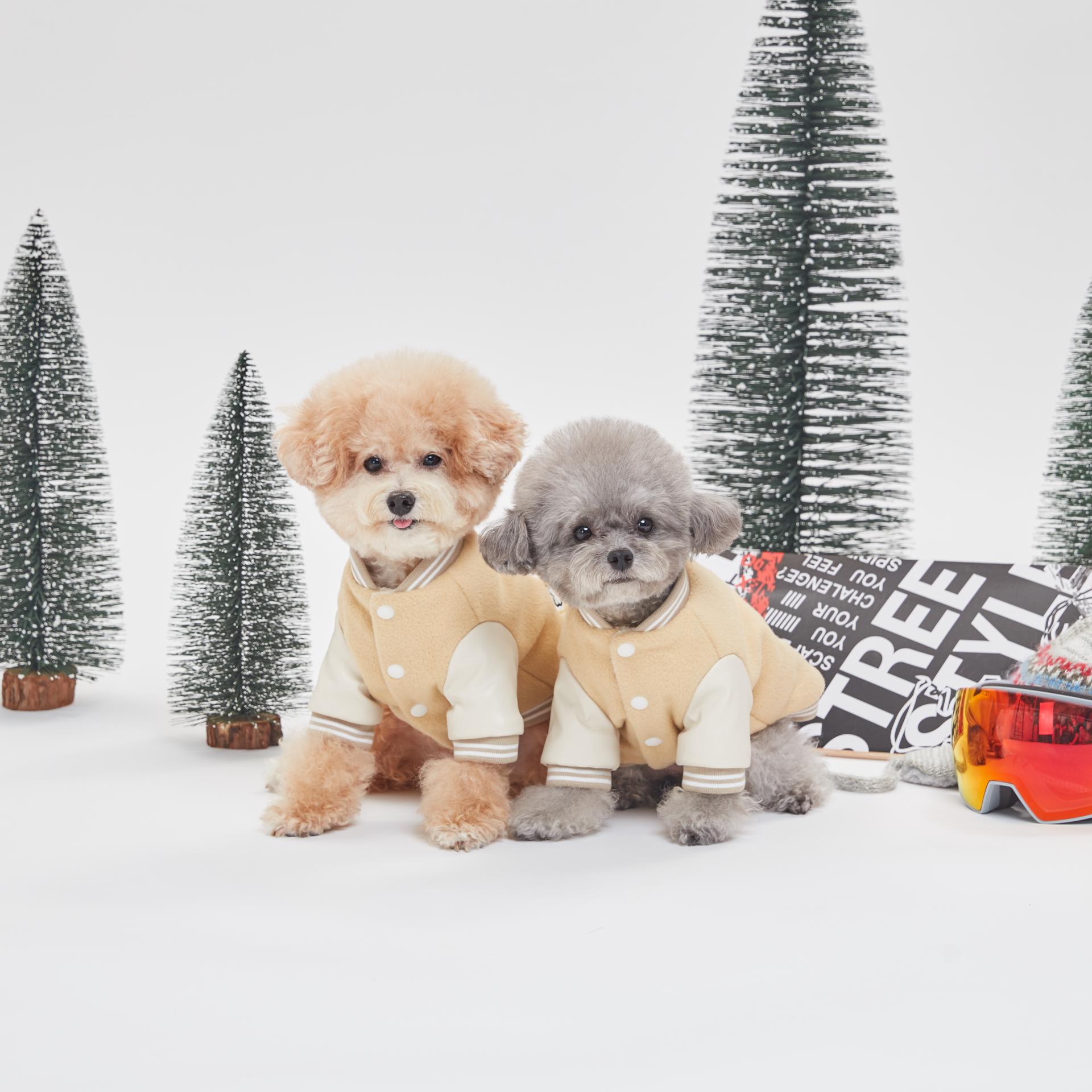 230915_eterno0552 1.jpg