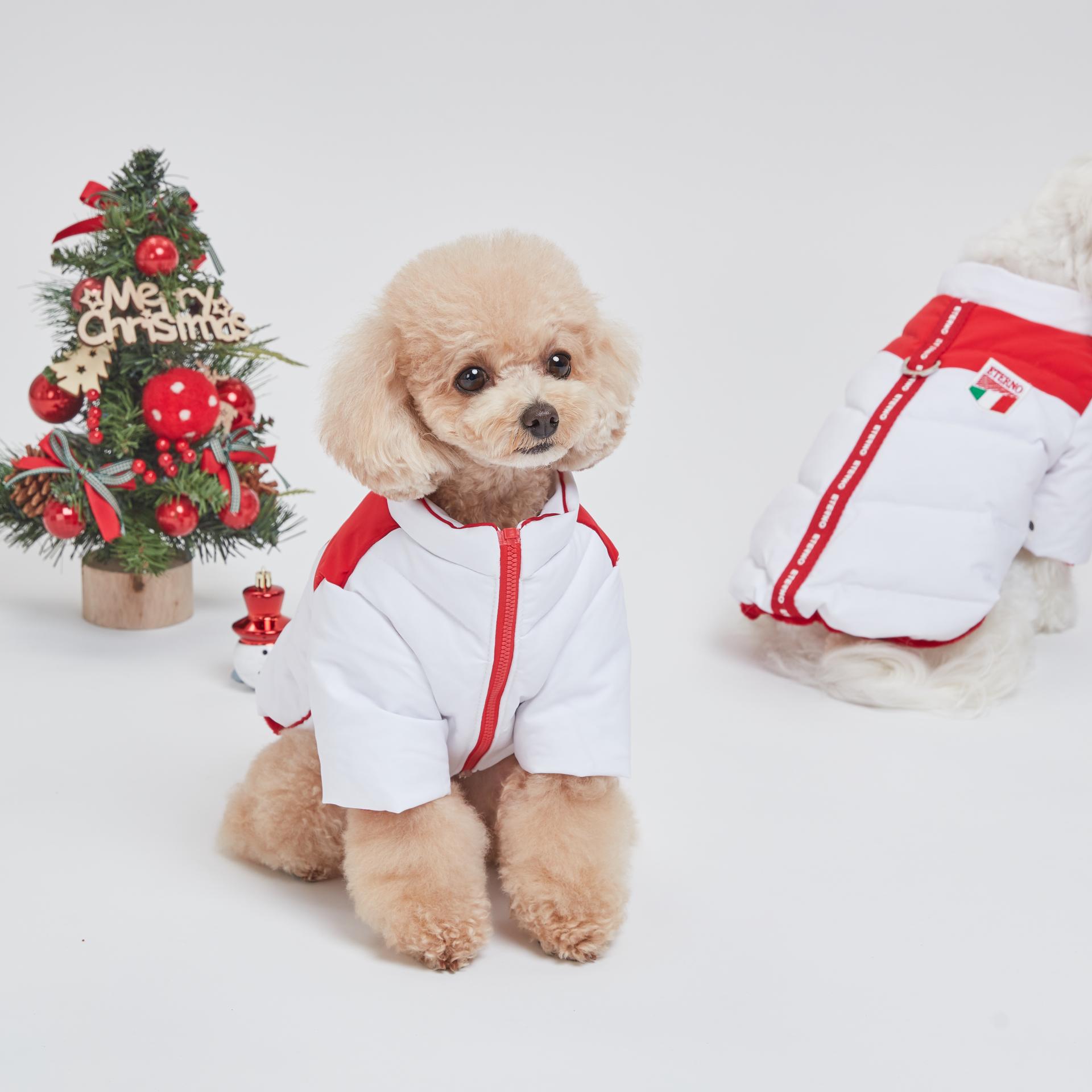 230920_eterno1027 1.jpg