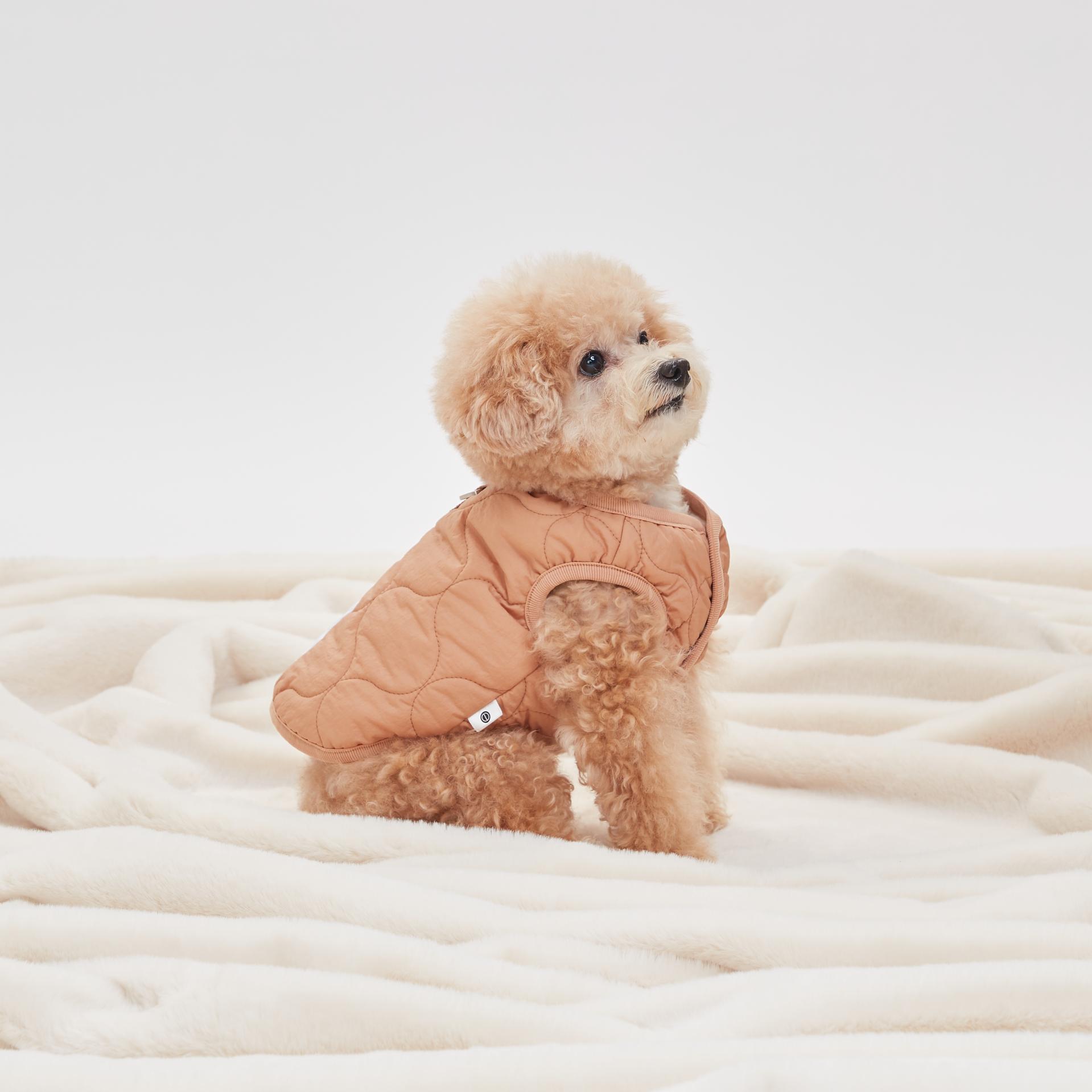 230915_eterno0184 1.jpg