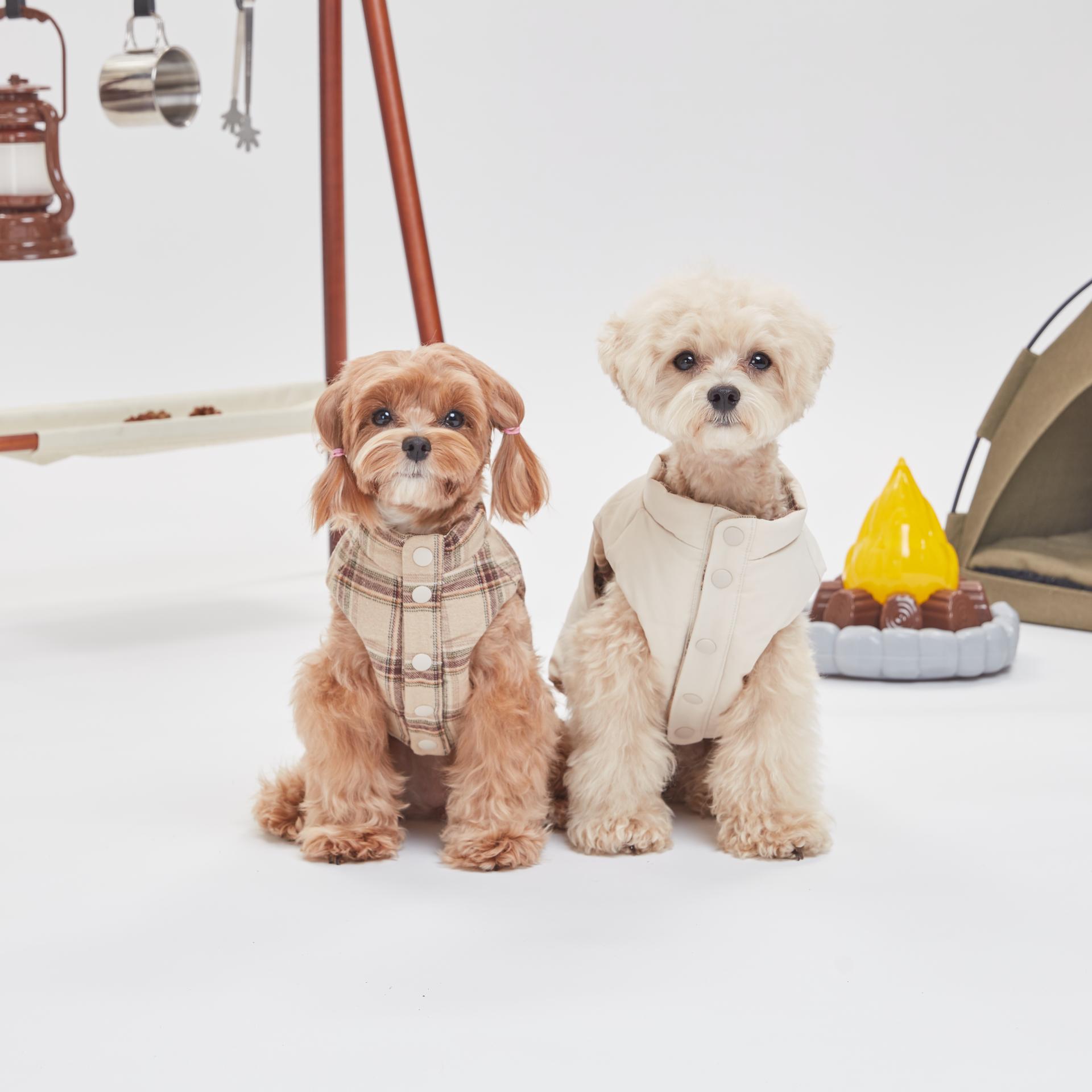 230915(2)_eterno0029 1.jpg