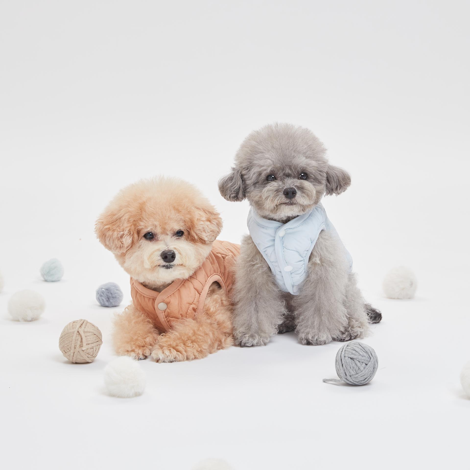 230915_eterno0409 1.jpg