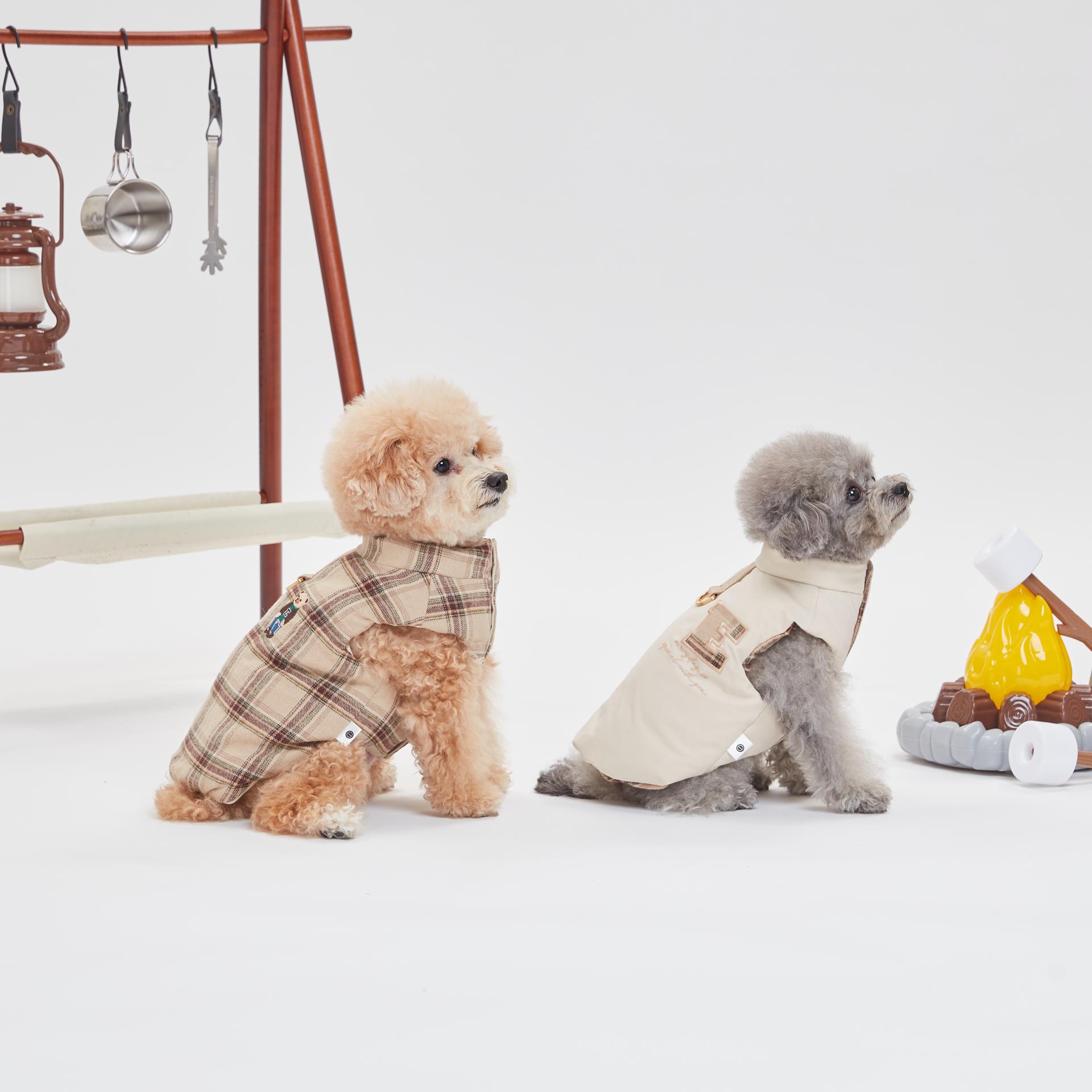 230915_eterno0043 1.jpg