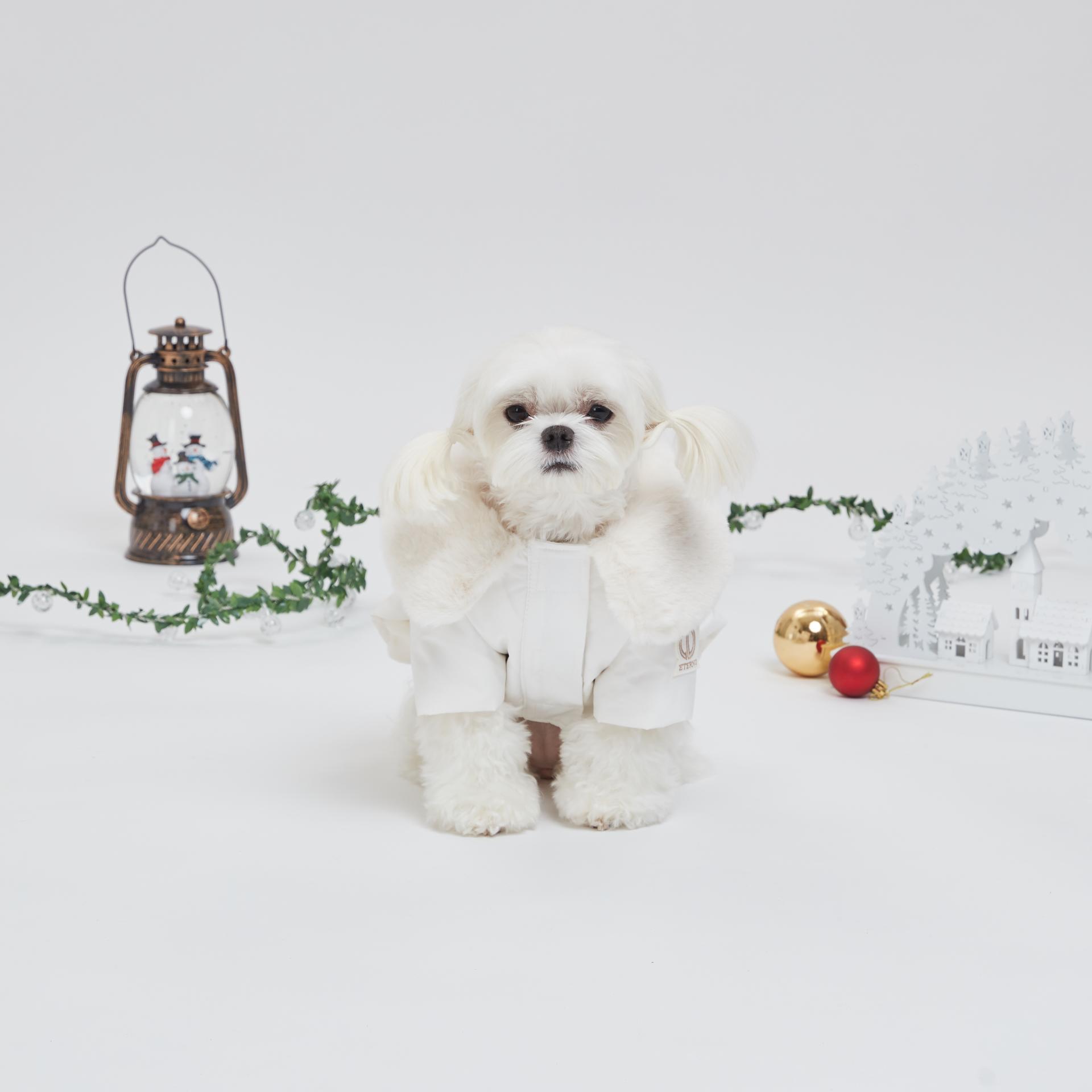 230920_eterno1194 1.jpg