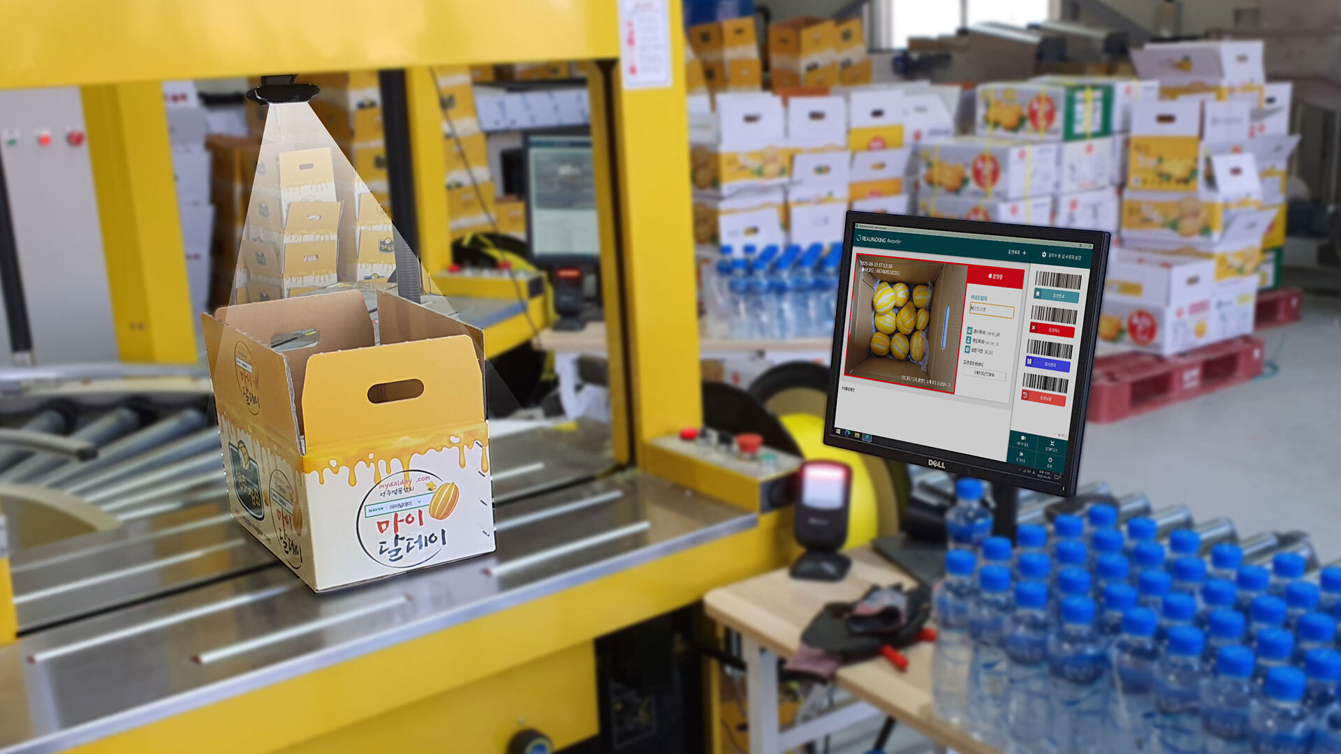 리얼패킹 사례.jpg