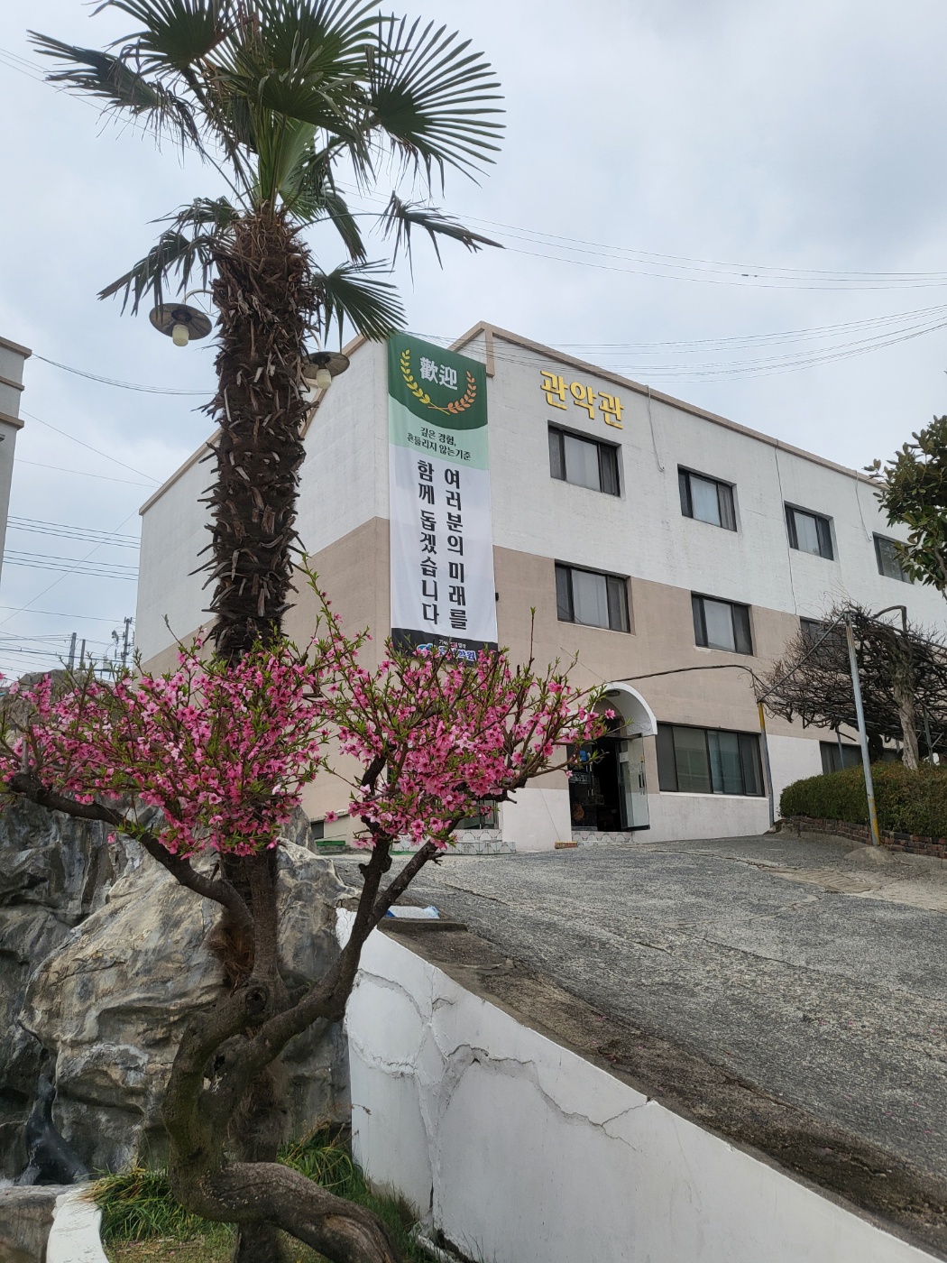 c018807cc2318.jpg