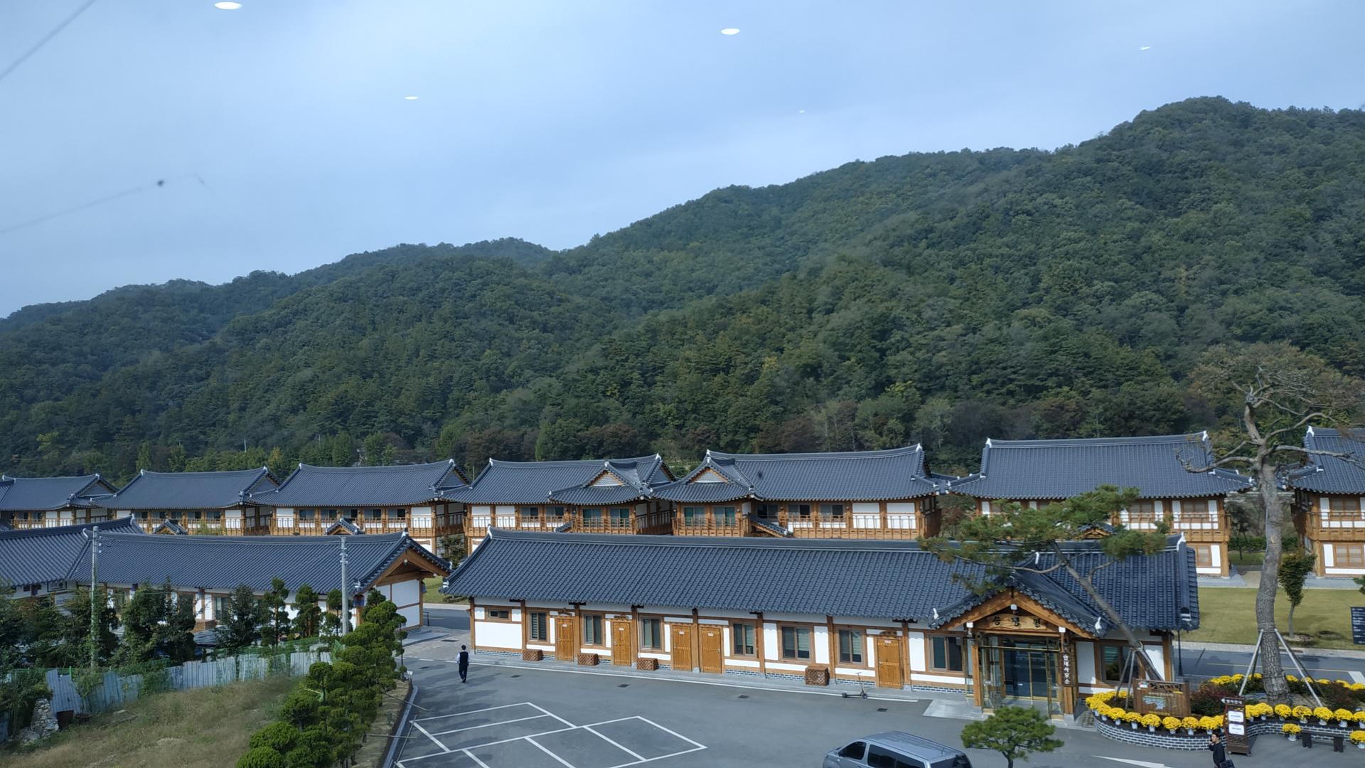 013d057719510.jpg
