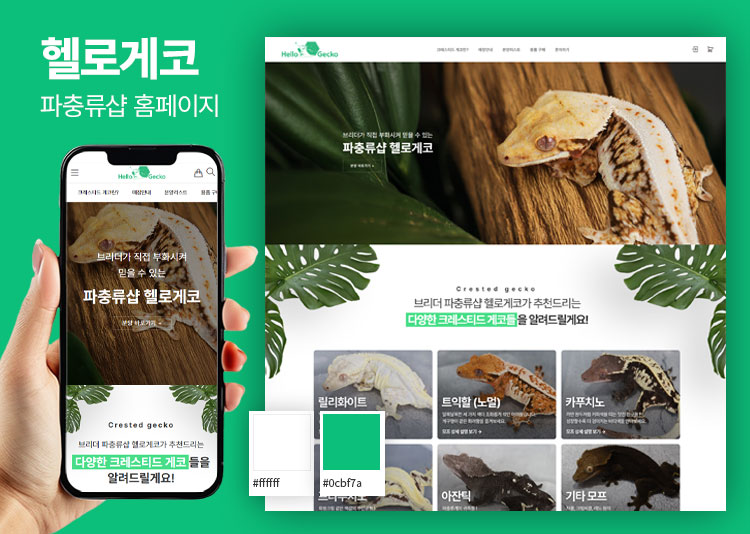 포트폴리오 4