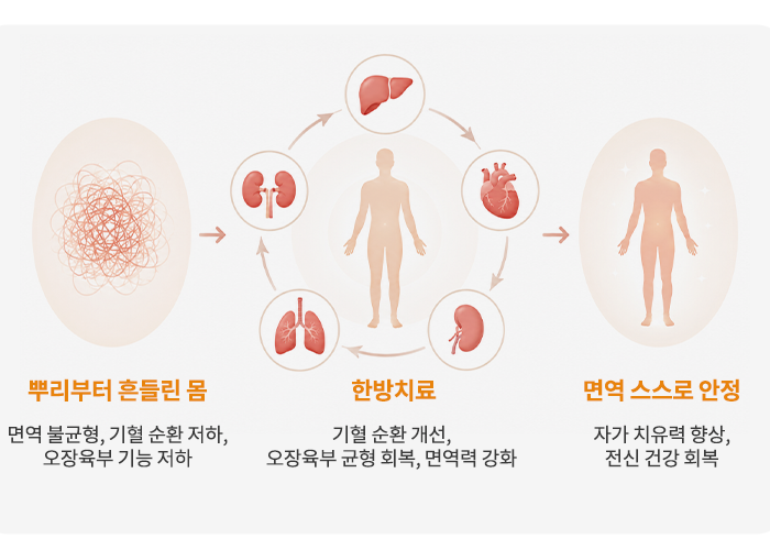 뿌리부터 흔들린 몸 - 한방치료 - 면역 스스로 안정