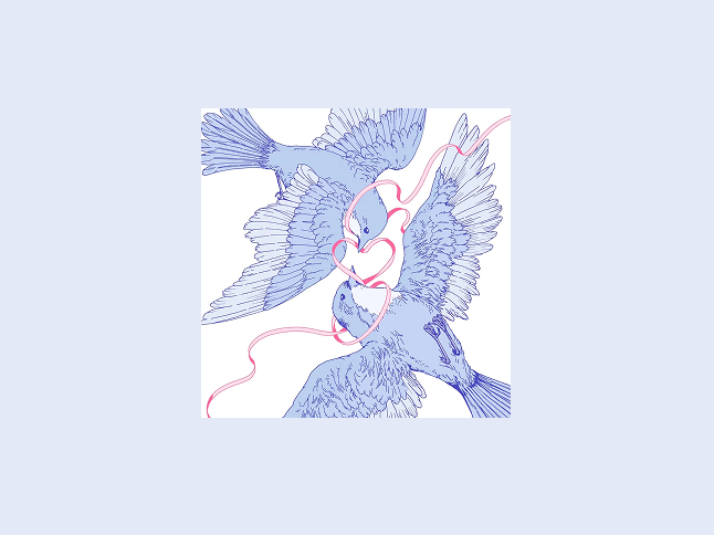 b3d35a4618842.png