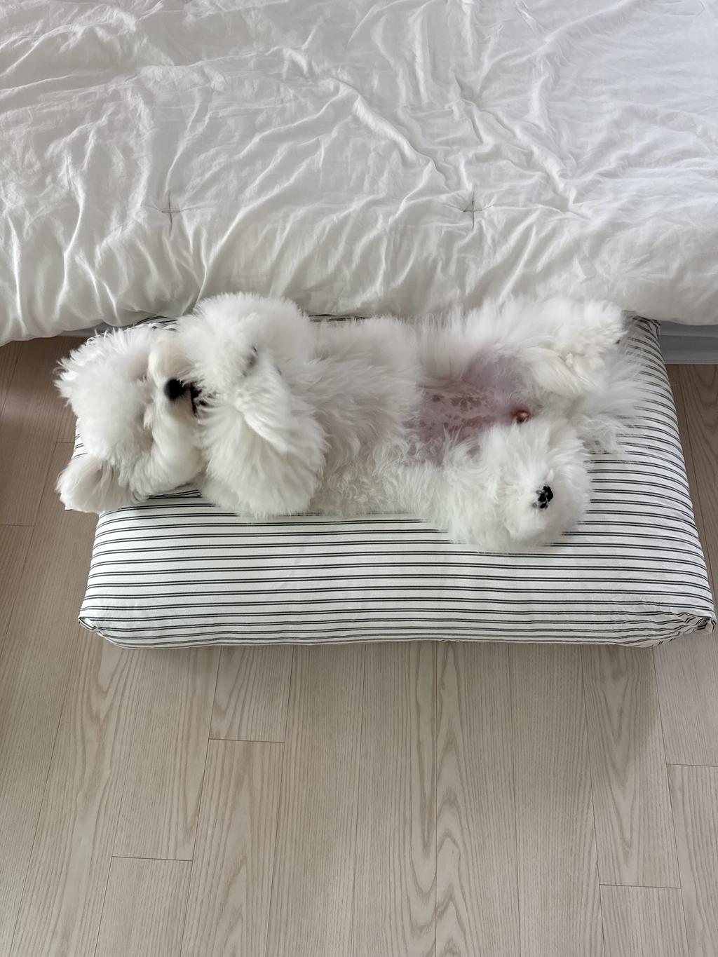 【small stuff】韓国RESTBED BLACKDOUBLESTRIPE Rest bed Black double stripe : 스몰스터프 small stuff