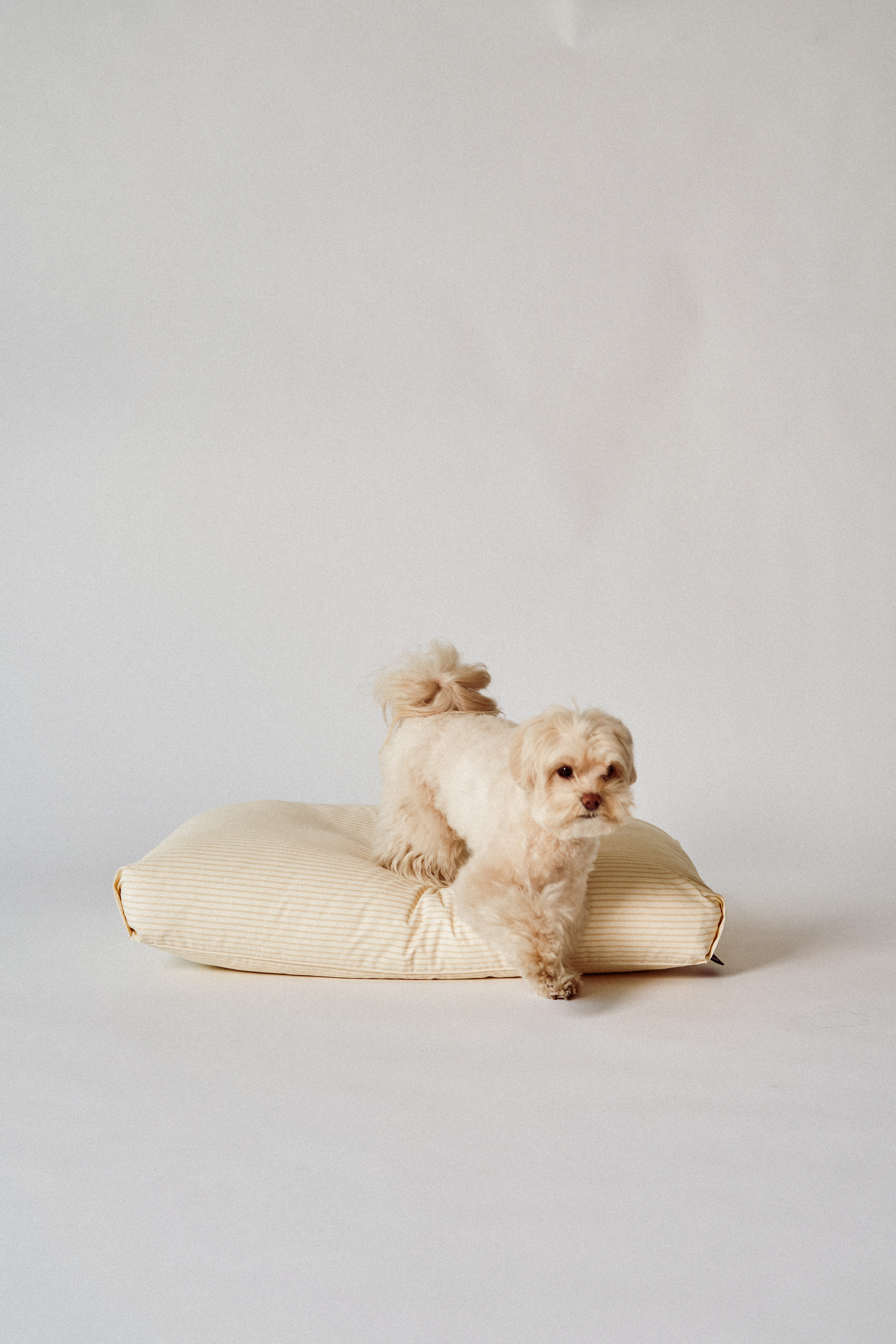 Rest bed striped Vanilla