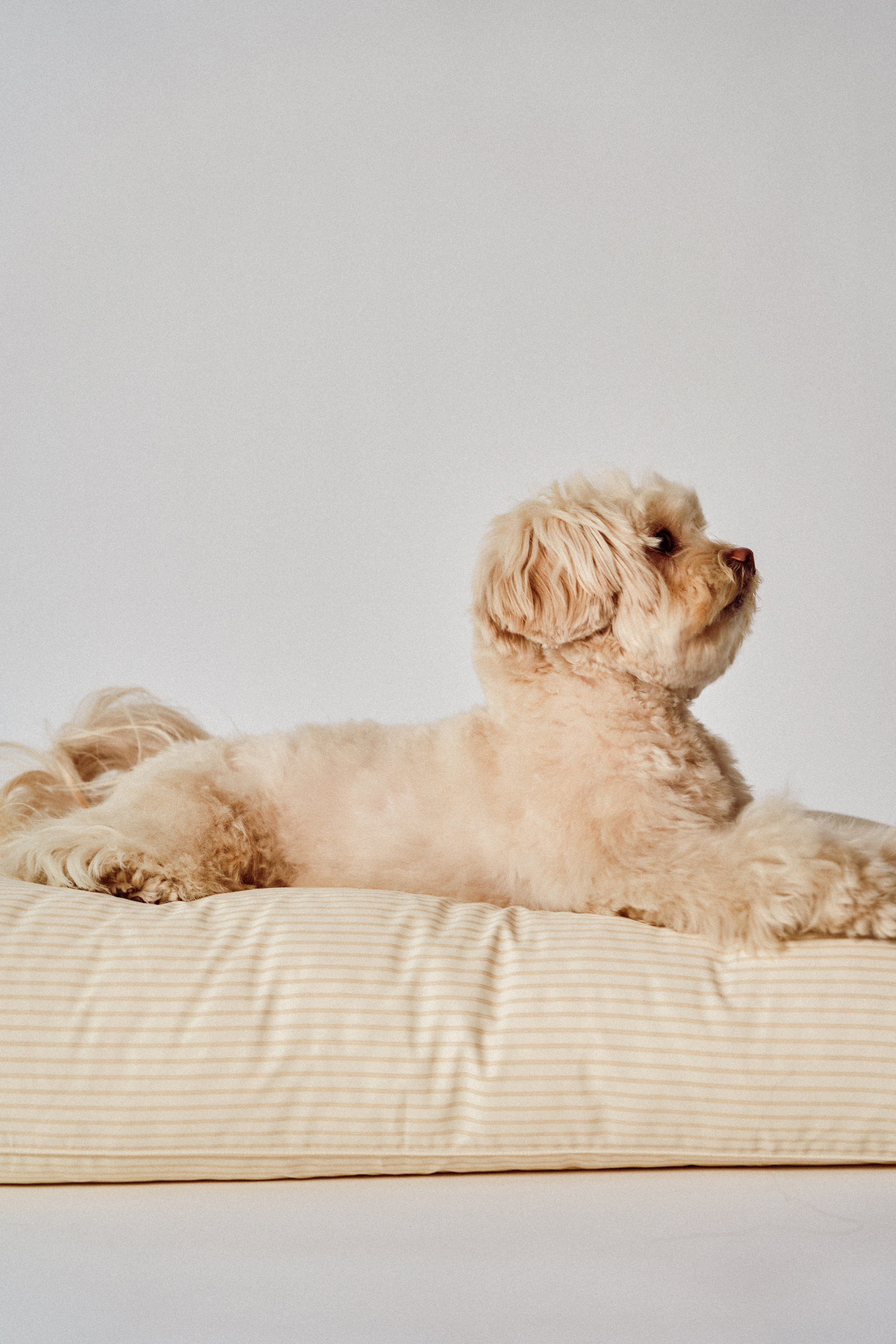 Rest bed striped Vanilla