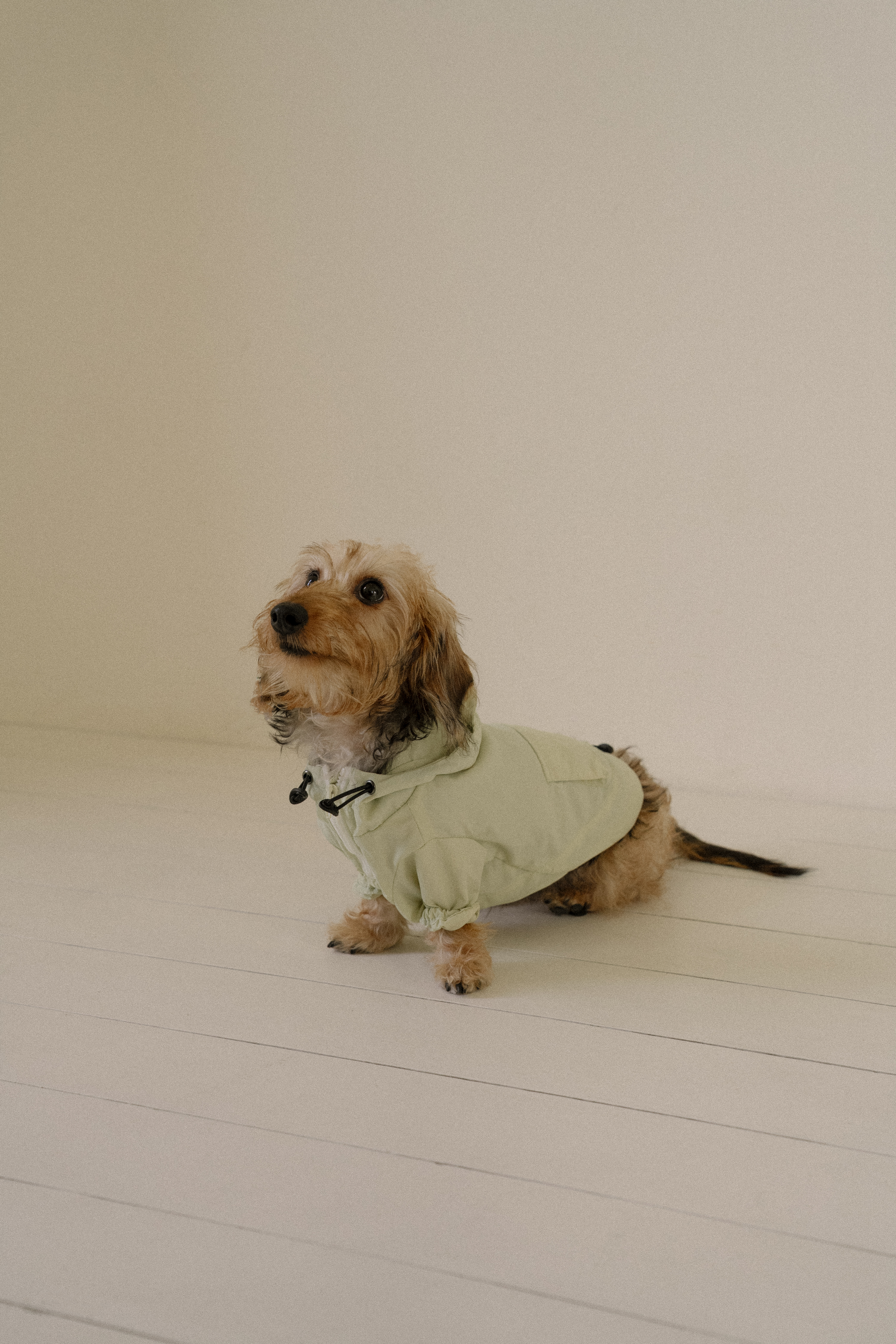Hooded anorak (3color) [P]