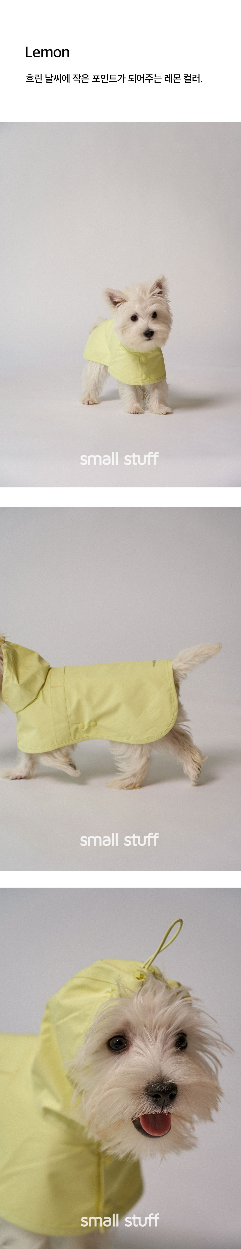City Walk Rain Poncho [P]