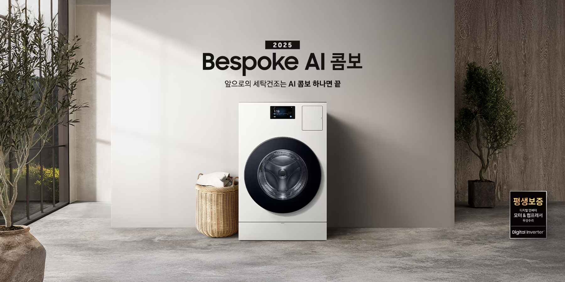 라이브 이미지 큰 카드