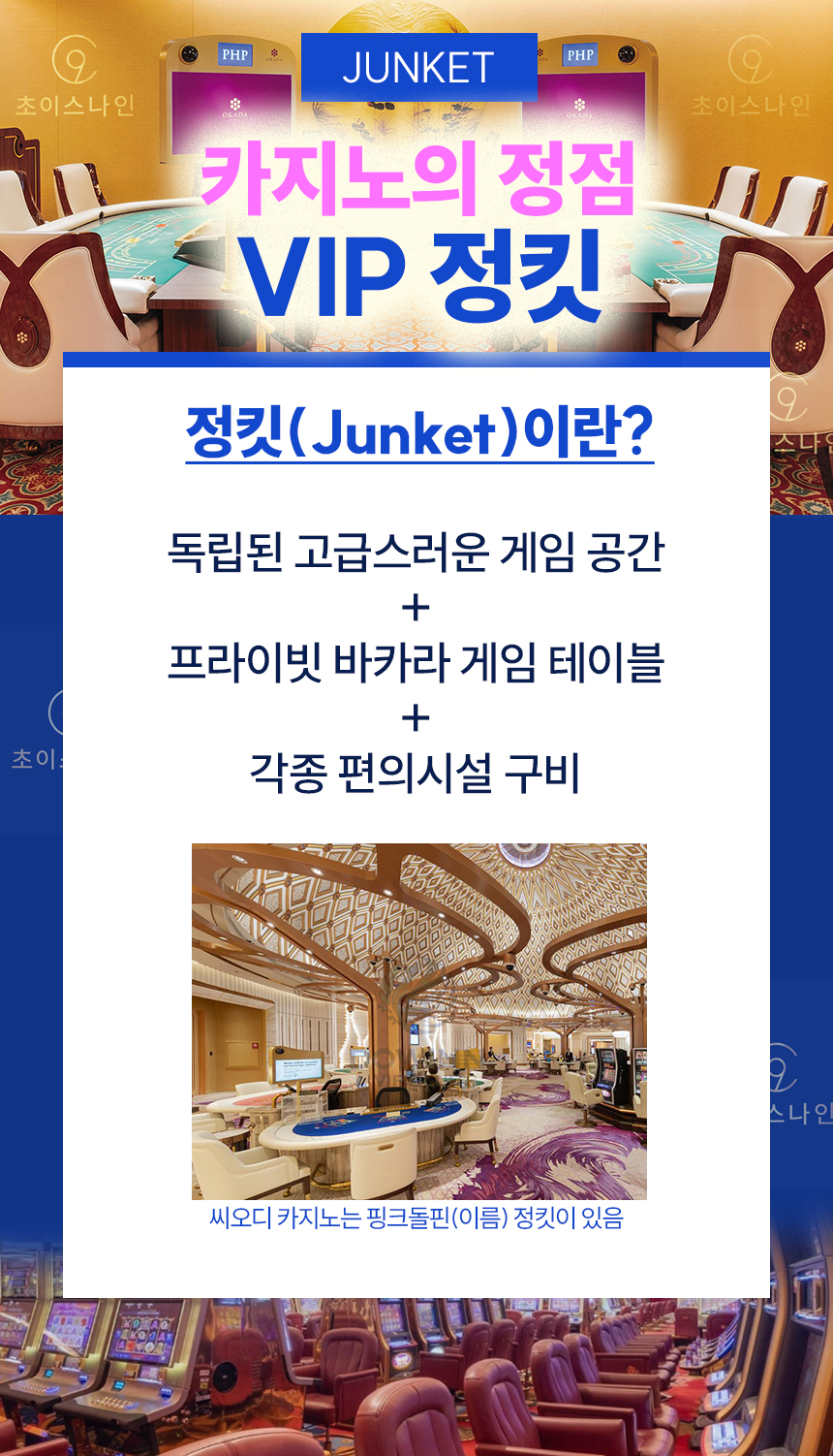 COD VIP 정킷룸 핑크돌핀