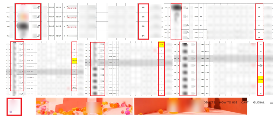싱가폴상표등록