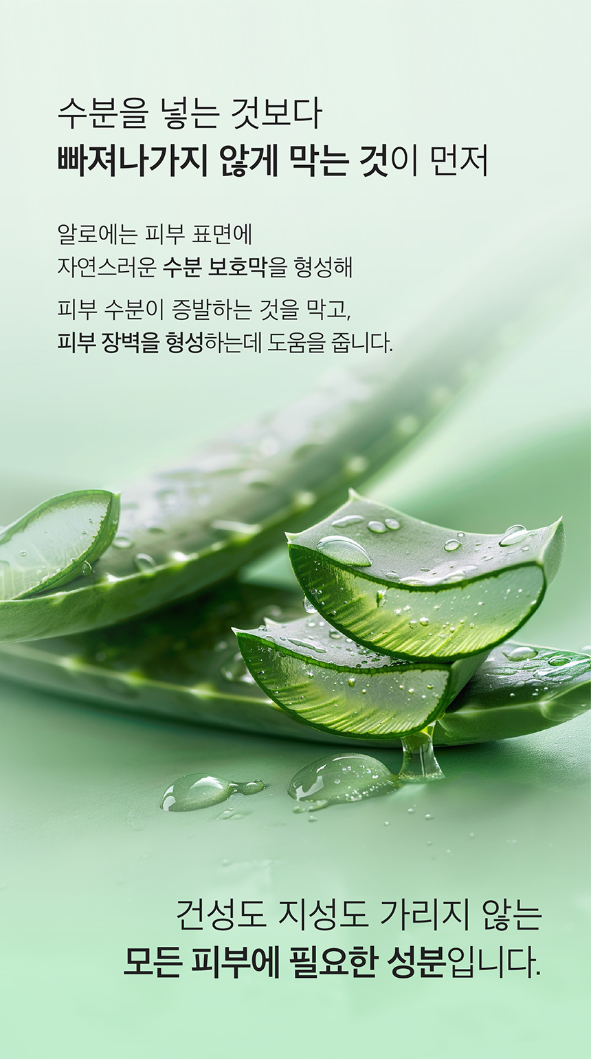 (NEW)알로에 젤리 바운시 크림