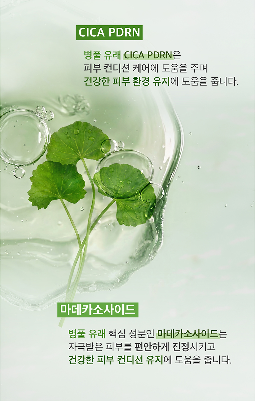 (NEW)쑥 진정 앰플