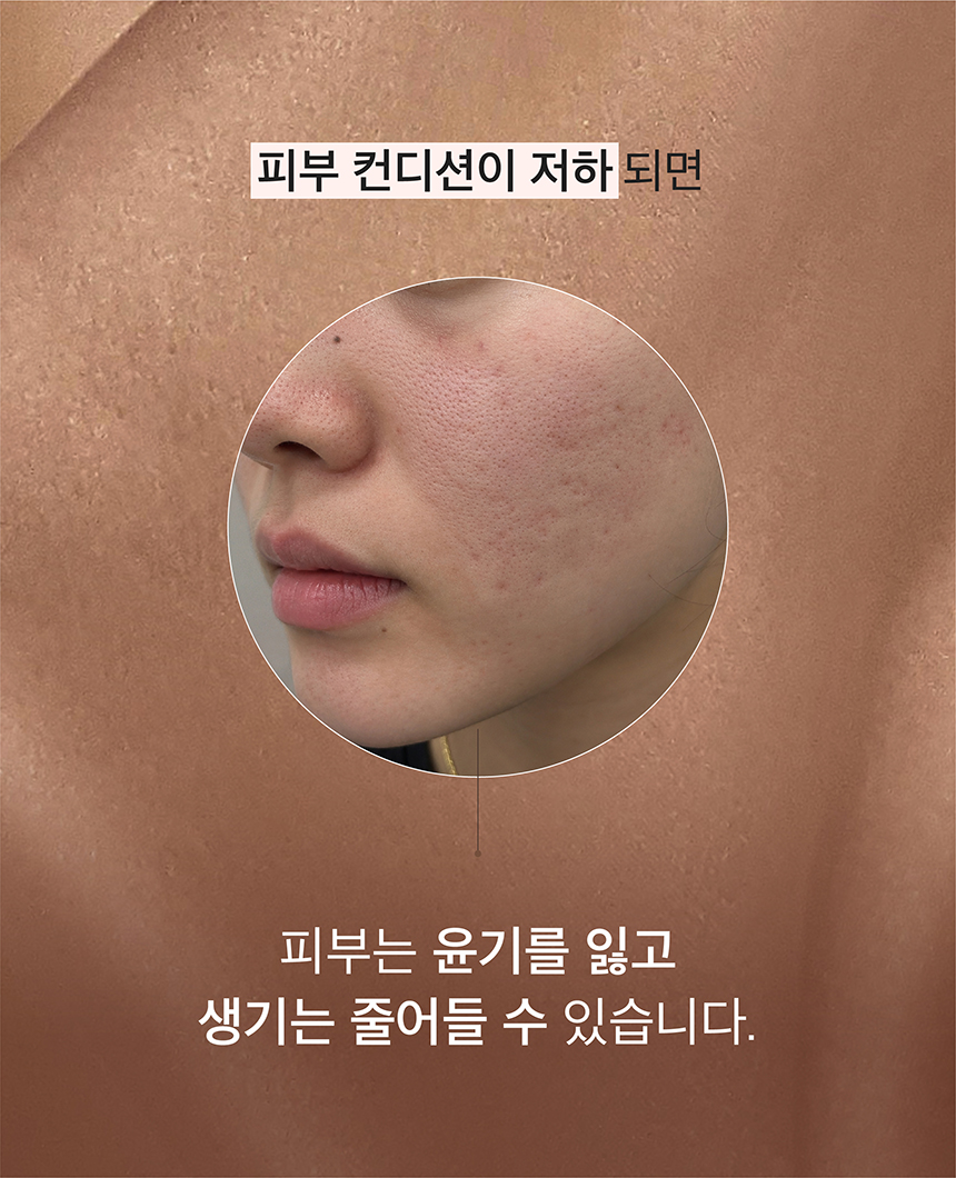 (NEW)인삼 영양 크림