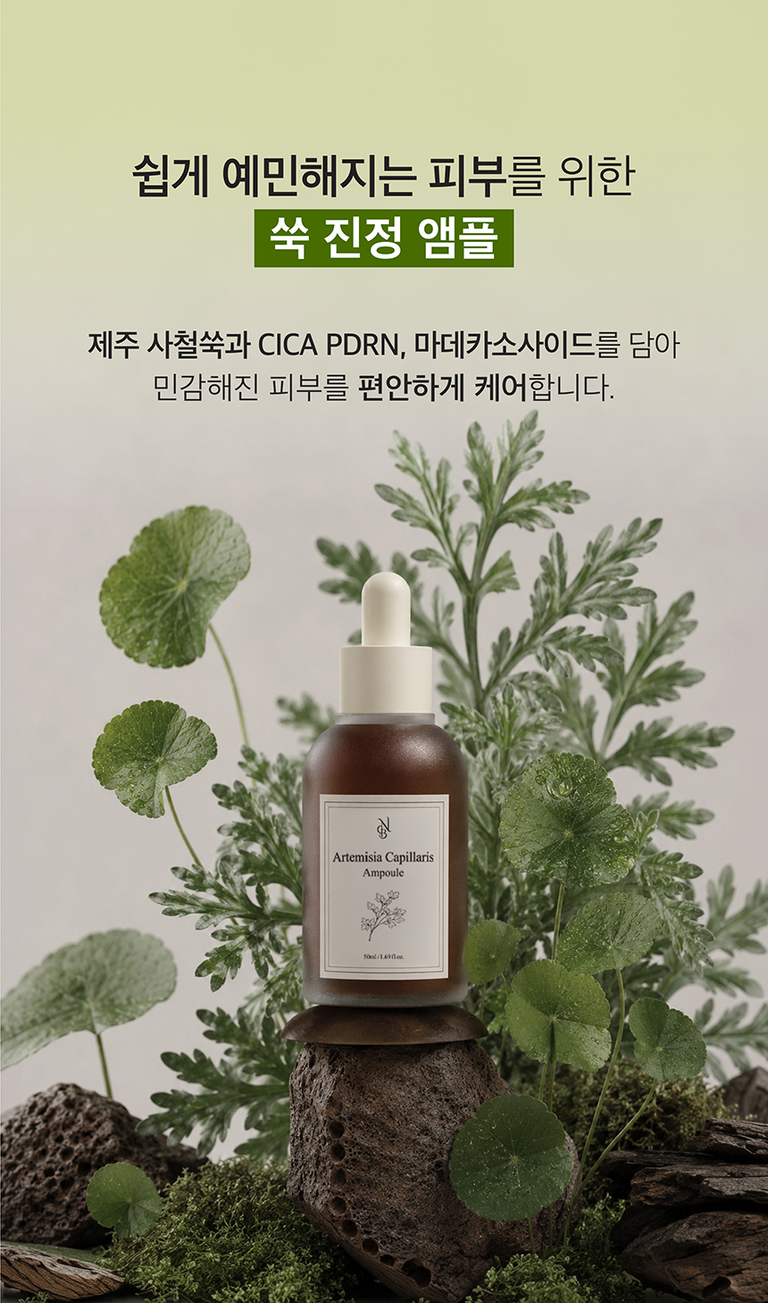 (NEW)쑥 진정 앰플