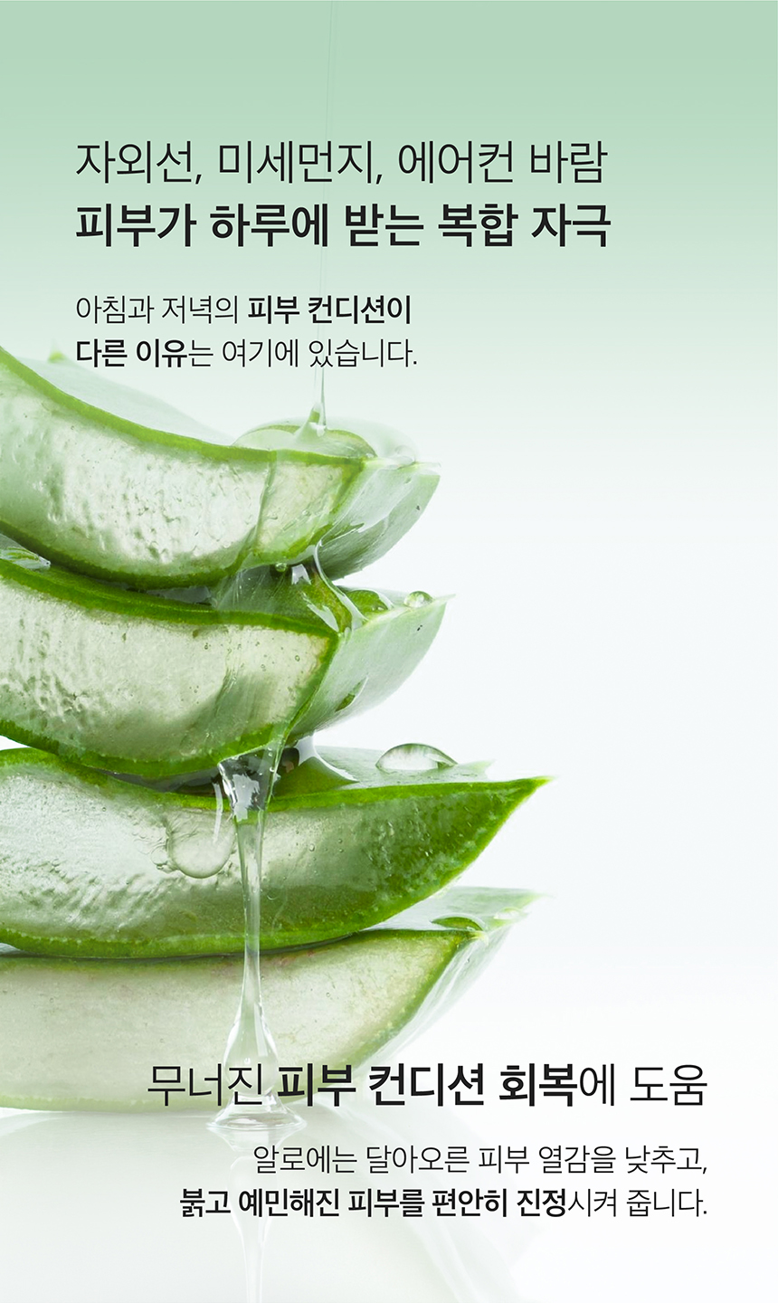 (NEW)알로에 젤리 바운시 크림