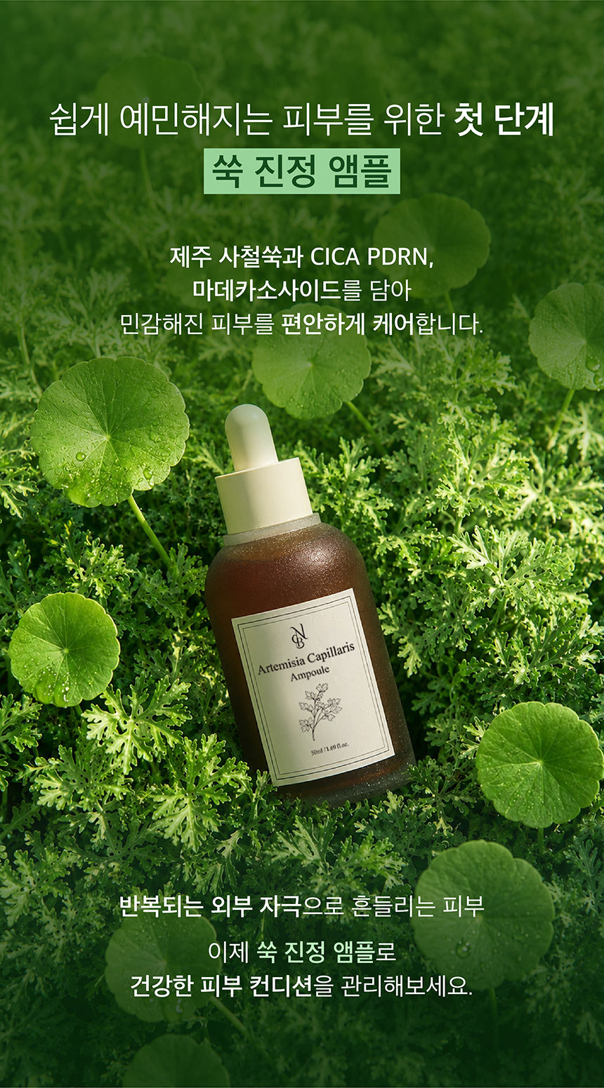 (NEW)쑥 진정 앰플