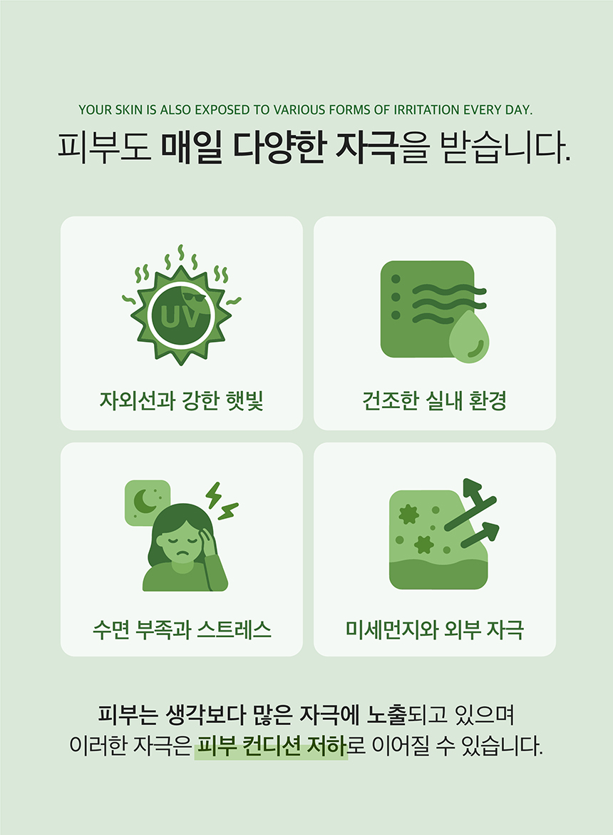 (NEW)쑥 진정 앰플