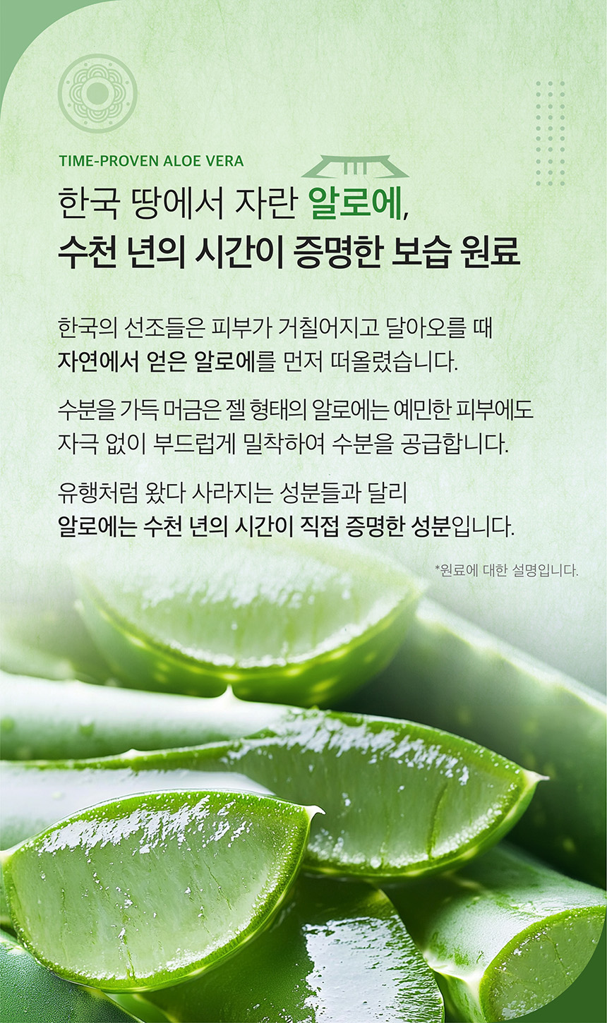 (NEW)알로에 젤리 바운시 크림