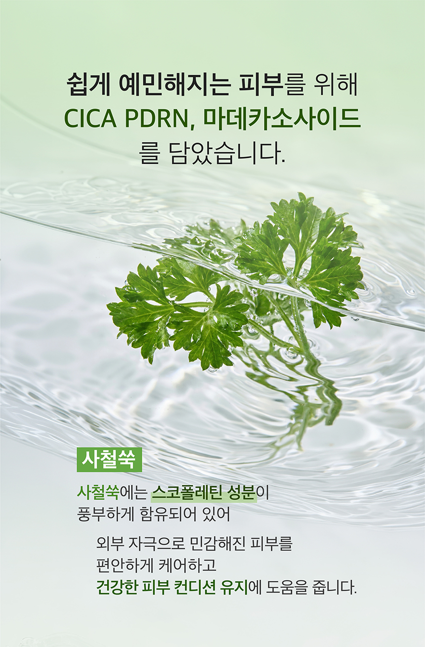 (NEW)쑥 진정 앰플