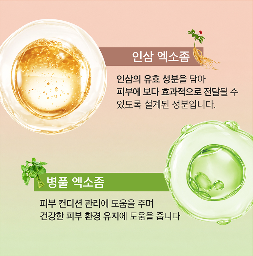 (NEW)인삼 영양 크림