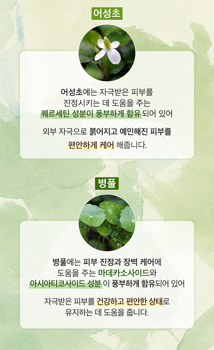 (NEW)제주 말차 토너