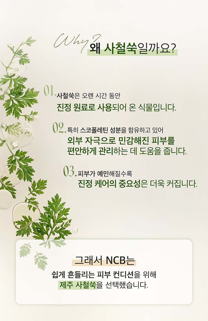 (NEW)쑥 진정 앰플