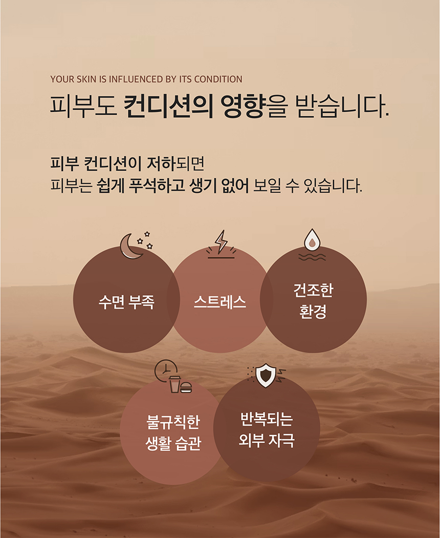 (NEW)인삼 영양 크림