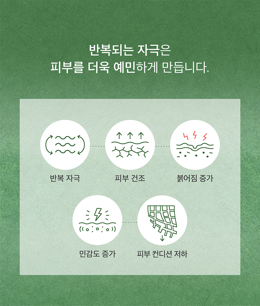 (NEW)쑥 진정 앰플