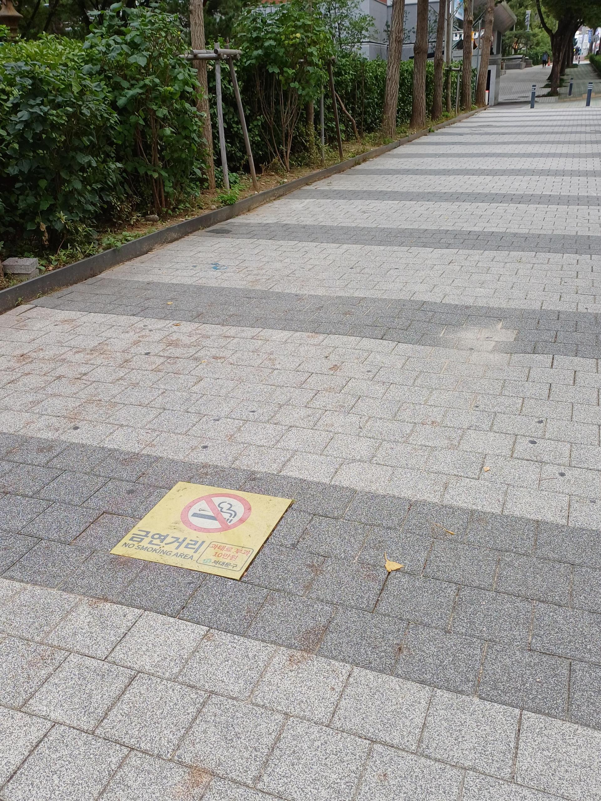 담배 안 돼 PNG 일러스트 | 이미지 및 PSD 파일 | Pngtree에 무료 다운로드, image size:1920x2560