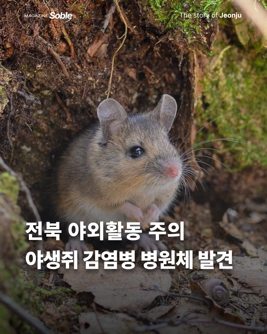 5c4df7b610588.png