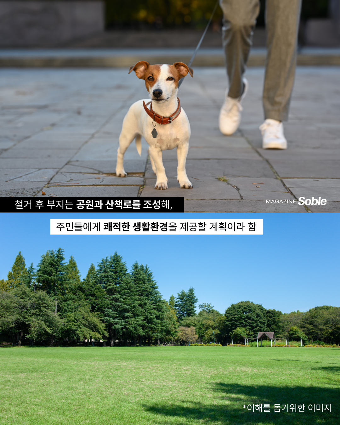 65b281afa173c.png
