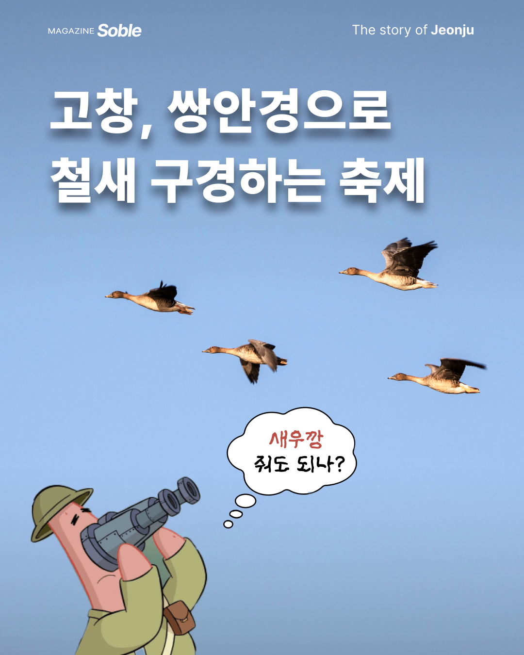 6af3800b3ff24.png
