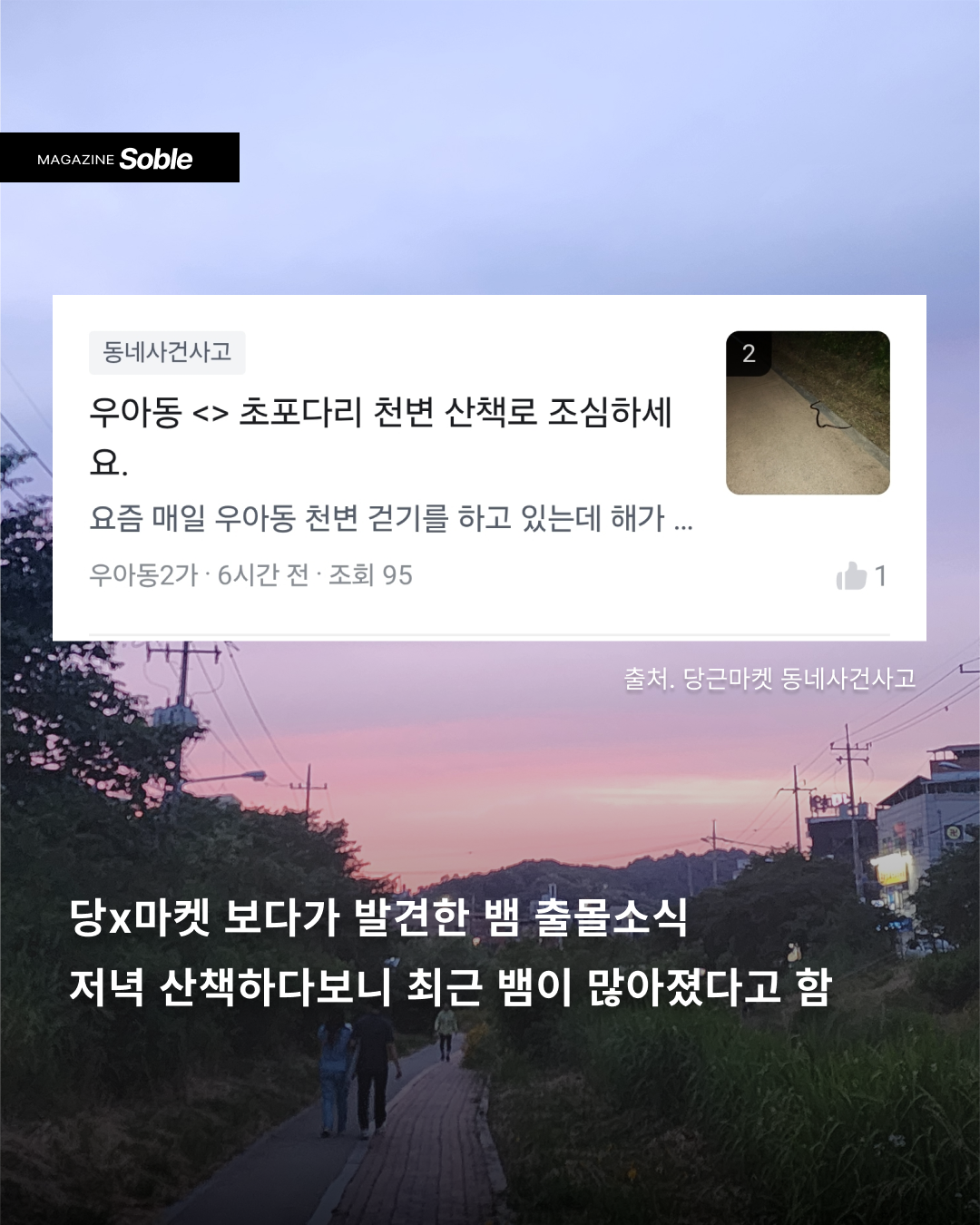 877f50f2428fb.png