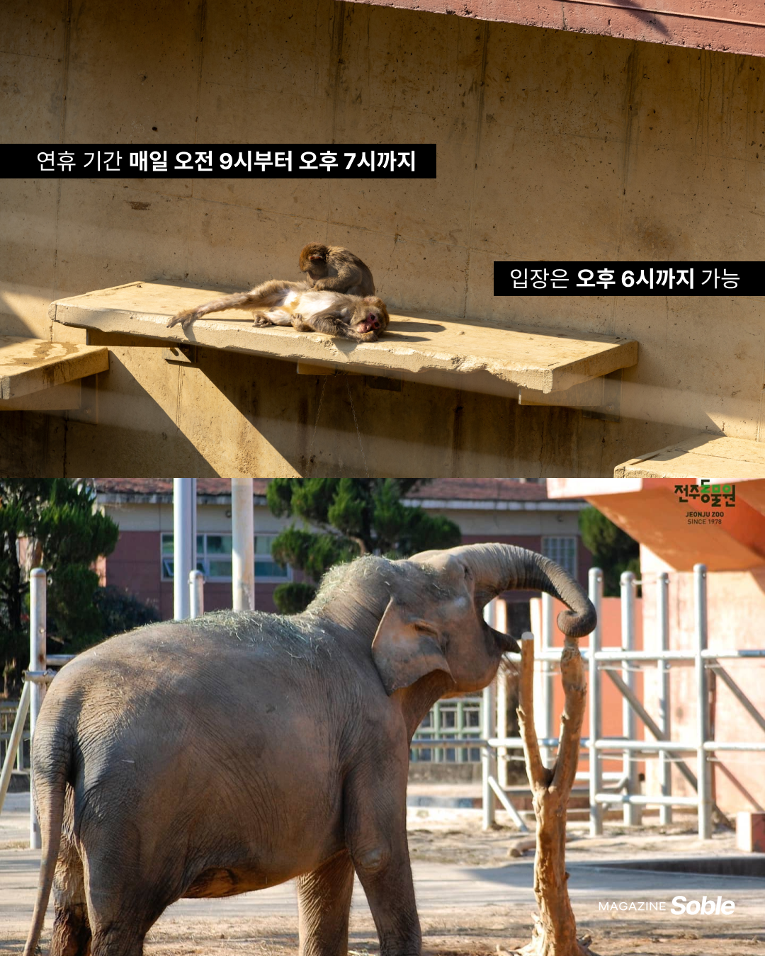 a8ddea0945955.png