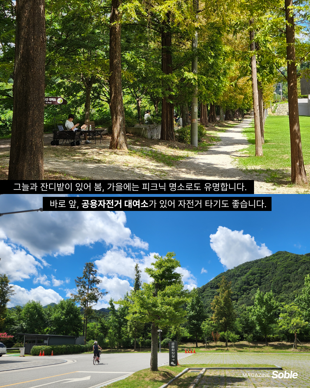 d361b6d823ebb.png
